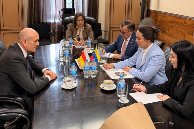 Югоосетино-венесуэльские межмидовские консультации