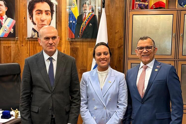 Югоосетино-венесуэльские межмидовские консультации